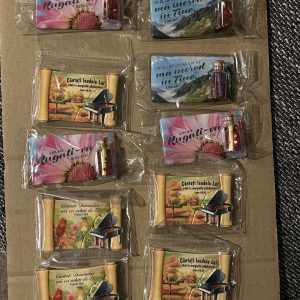 magneti de frigider