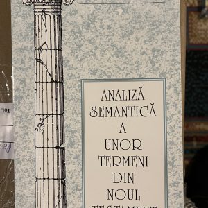 analiza semantica