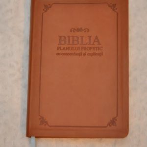 biblia planului profetic