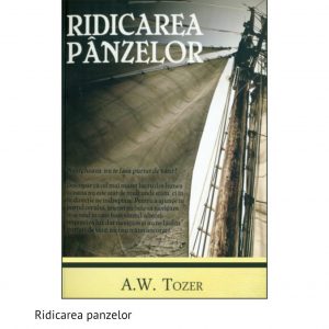 Ridicarea panzelor
