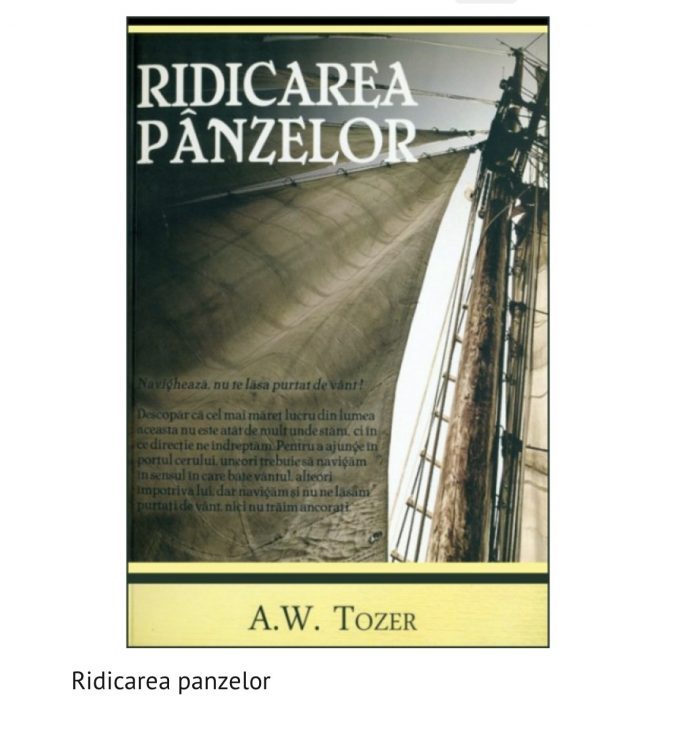 Ridicarea panzelor