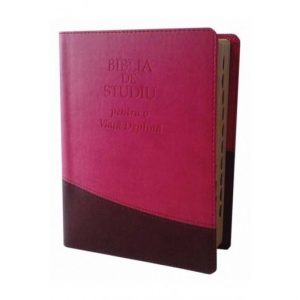 biblia de studiu