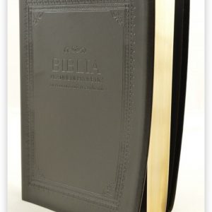 biblia planului profetic