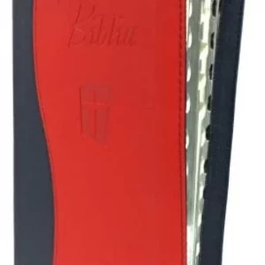 biblia ntr  format mare