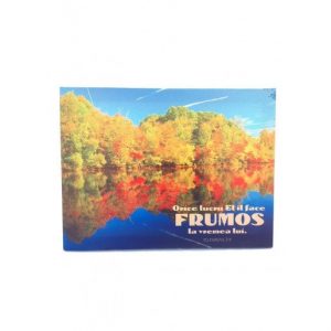tablou 40cm