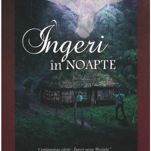 ingeri in noapte