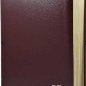 biblia de studiu international