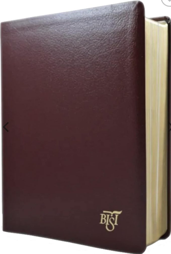 biblia de studiu international