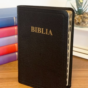 biblia mare cu index