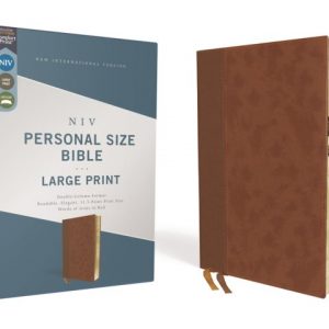 niv bible