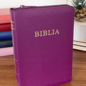 biblia de lux 4