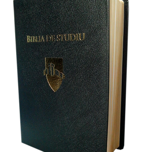 biblia de studiu Andrew