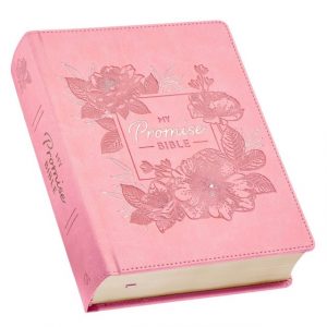 medium holy bible