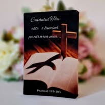 Biblia handmade, model 4, coperta de catifea, flexibila, marime medie, margini aurii, index, cuv. lui Isus cu rosu