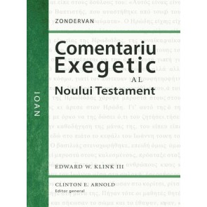 Comentariu exegetic al Noului Testament. Ioan
