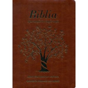 Biblia - Speranţă în suferinţă - copertă maro