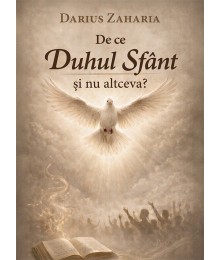 De ce Duhul Sfânt și nu altceva?