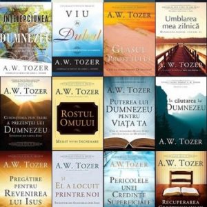 Set 25 cărți de A. W. TOZER