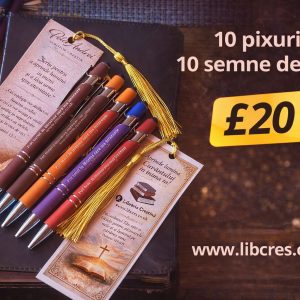 Set : 10 pixuri + 10 semne de carte