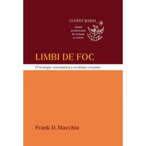 Limbi de foc: O teologie sistematică a credinței creștine